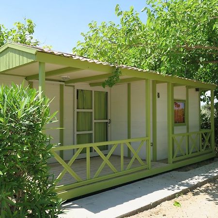 Camping Azul 奥利瓦 外观 照片