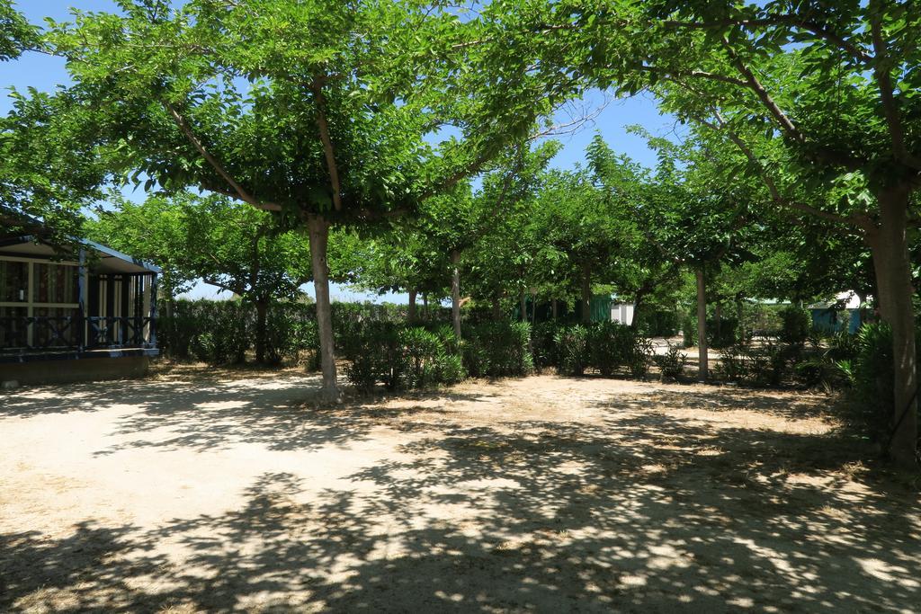 Camping Azul 奥利瓦 外观 照片
