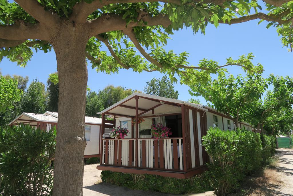Camping Azul 奥利瓦 外观 照片
